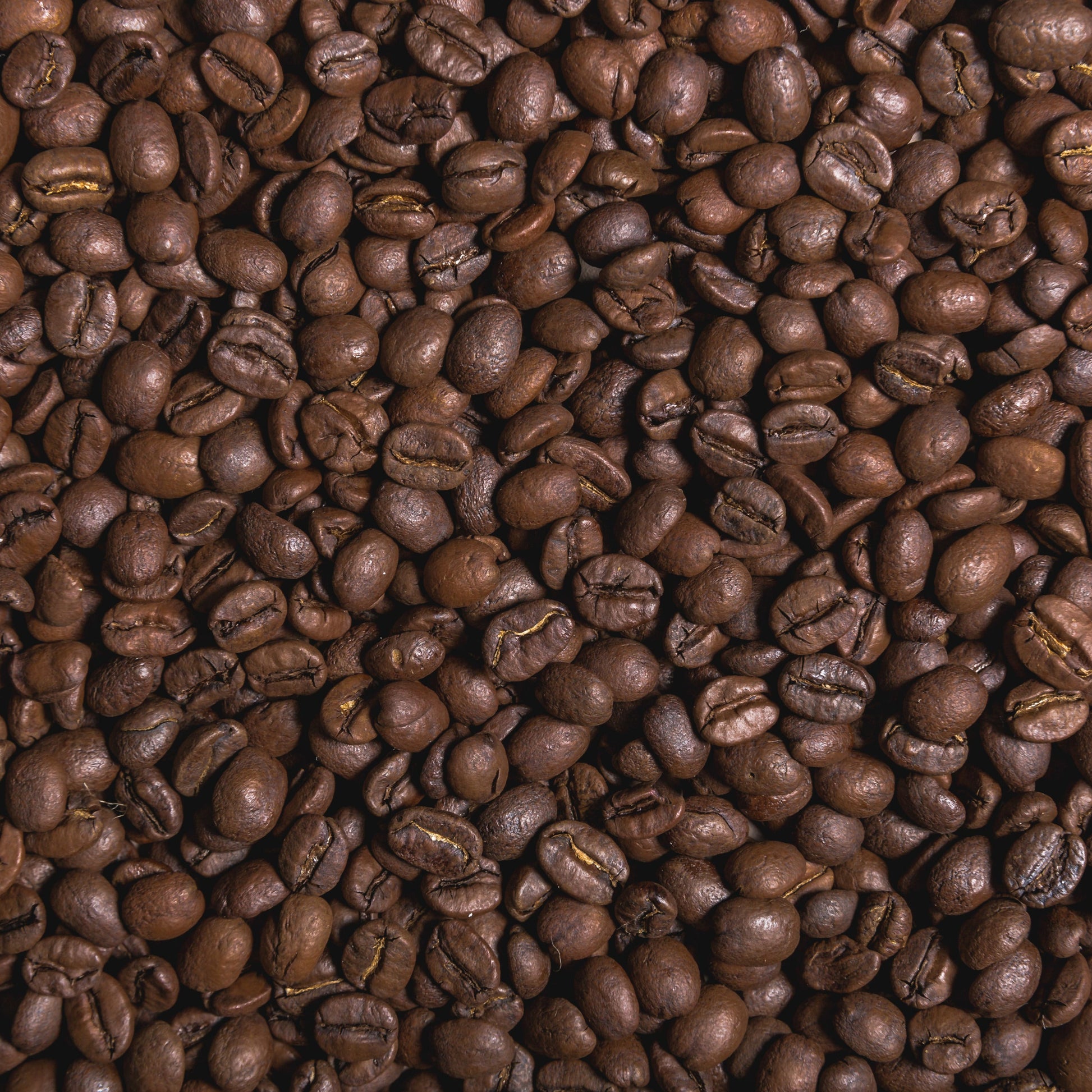 Close-up of roasted coffee beans